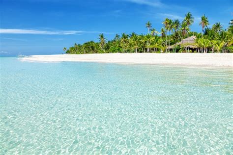 cebu white sand beaches|The Most Beautiful White Sand Beaches in Cebu: Where to Take .